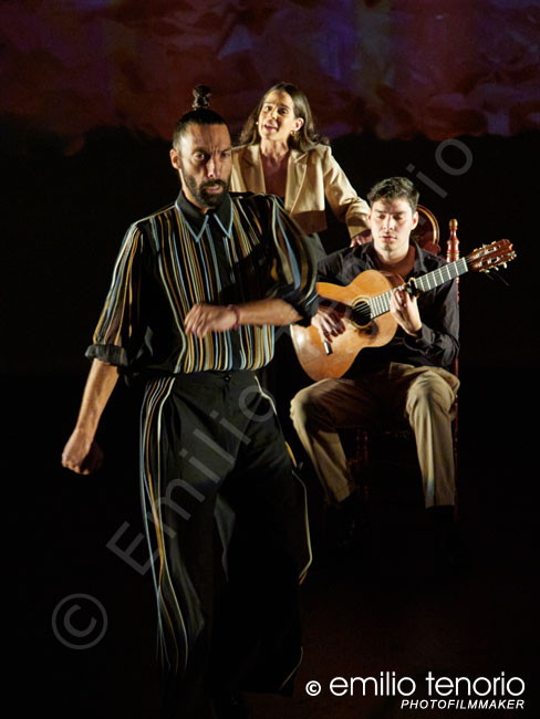 ETER.COM - Teatros del Canal - Medalla Internacional de las Artes 2021 a la Asociación de Tablaos Flamencos de Madrid - © Emilio Tenorio